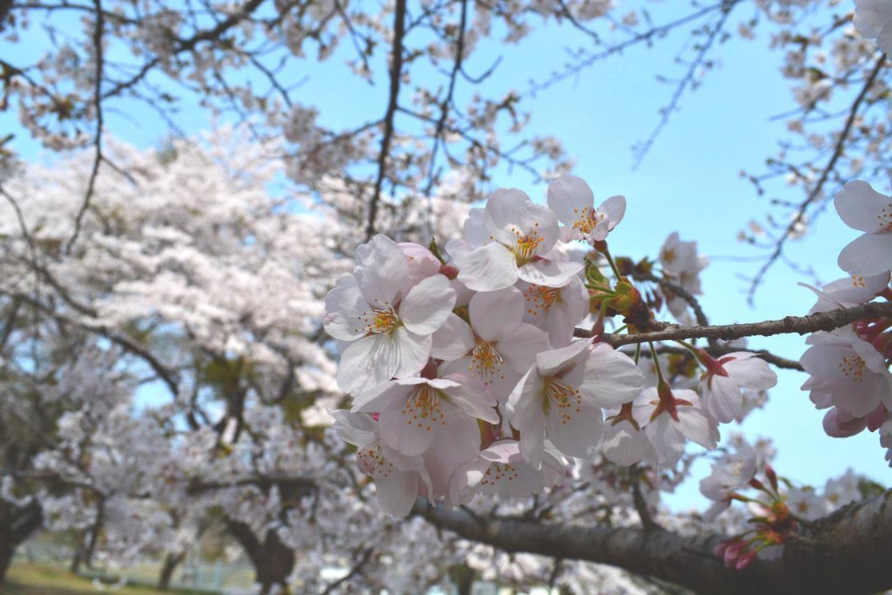 Fukuichi Shibukawa